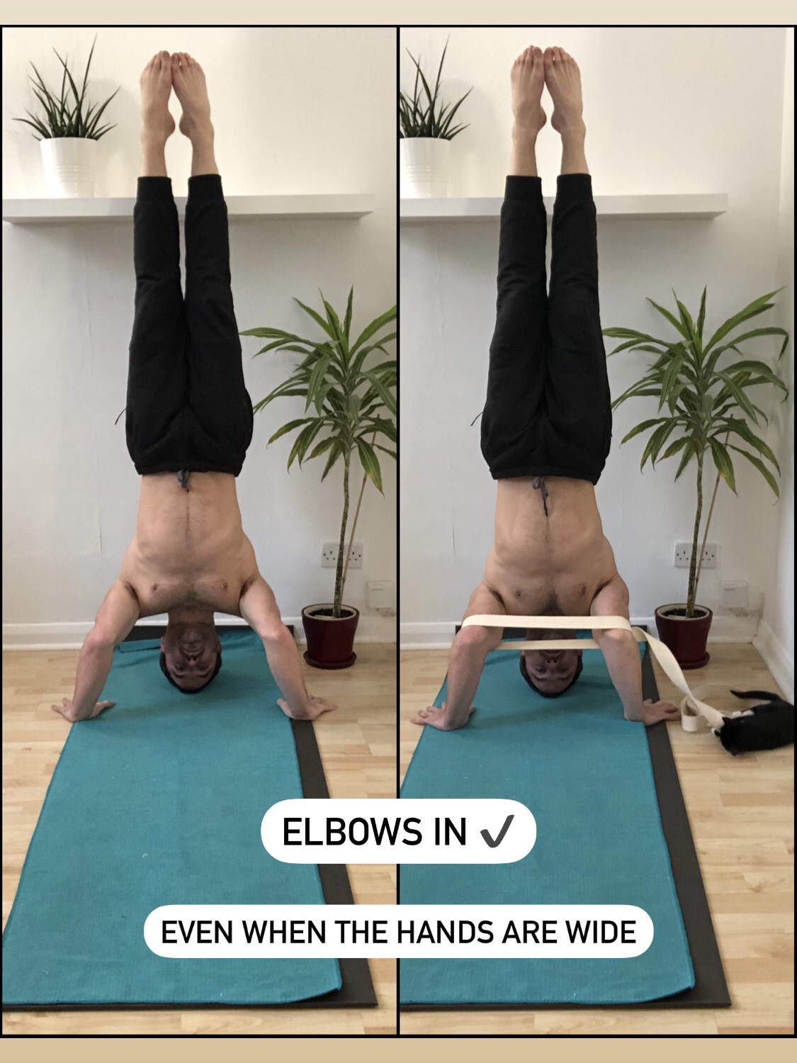 Pain Free Headstand (5 common trouble areas) Anastasis Tzanis Yoga