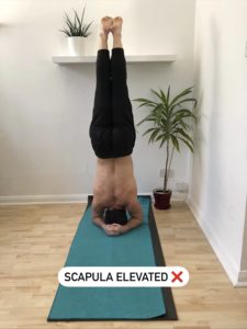 Scapula elevation in headstand can cause neck pain