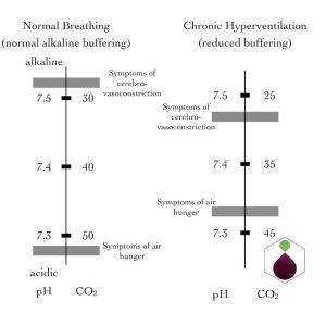 CO2 pH relationship
