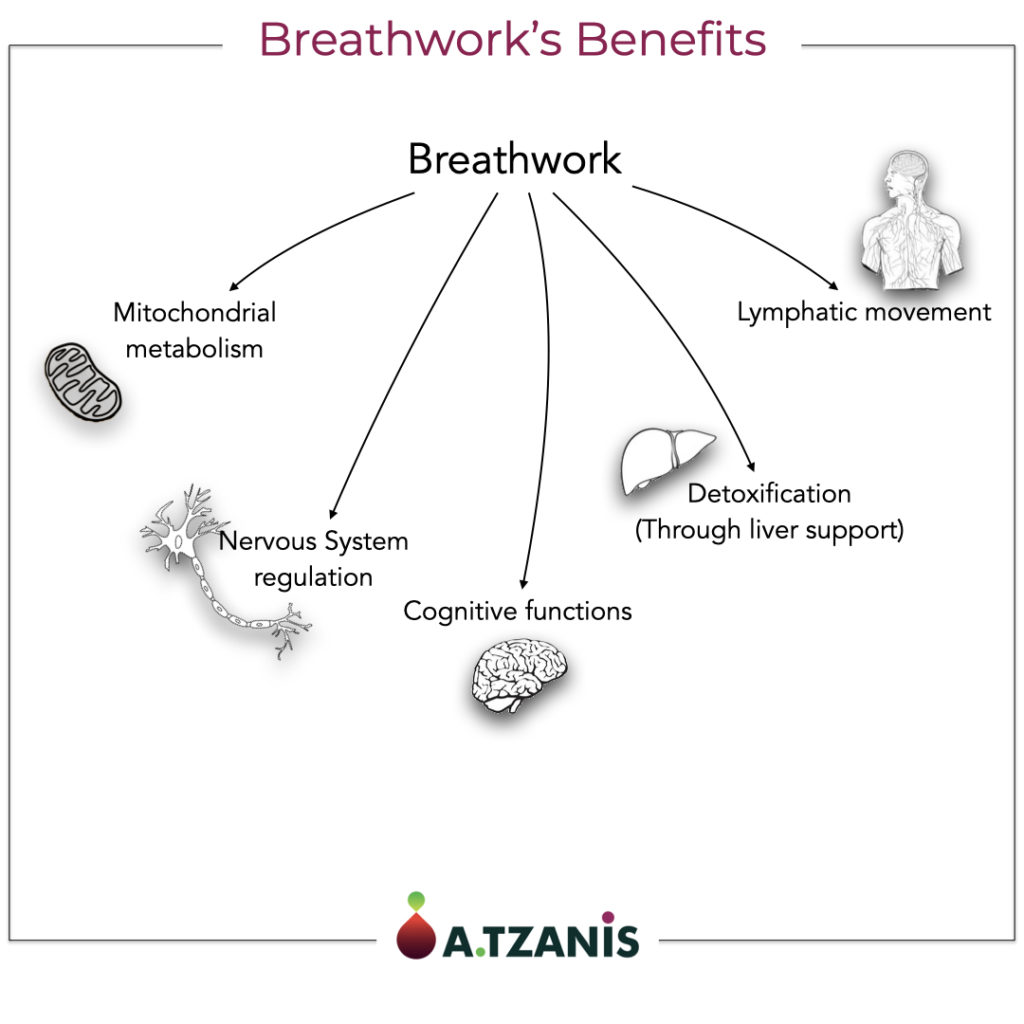 Breathwork's Benefits