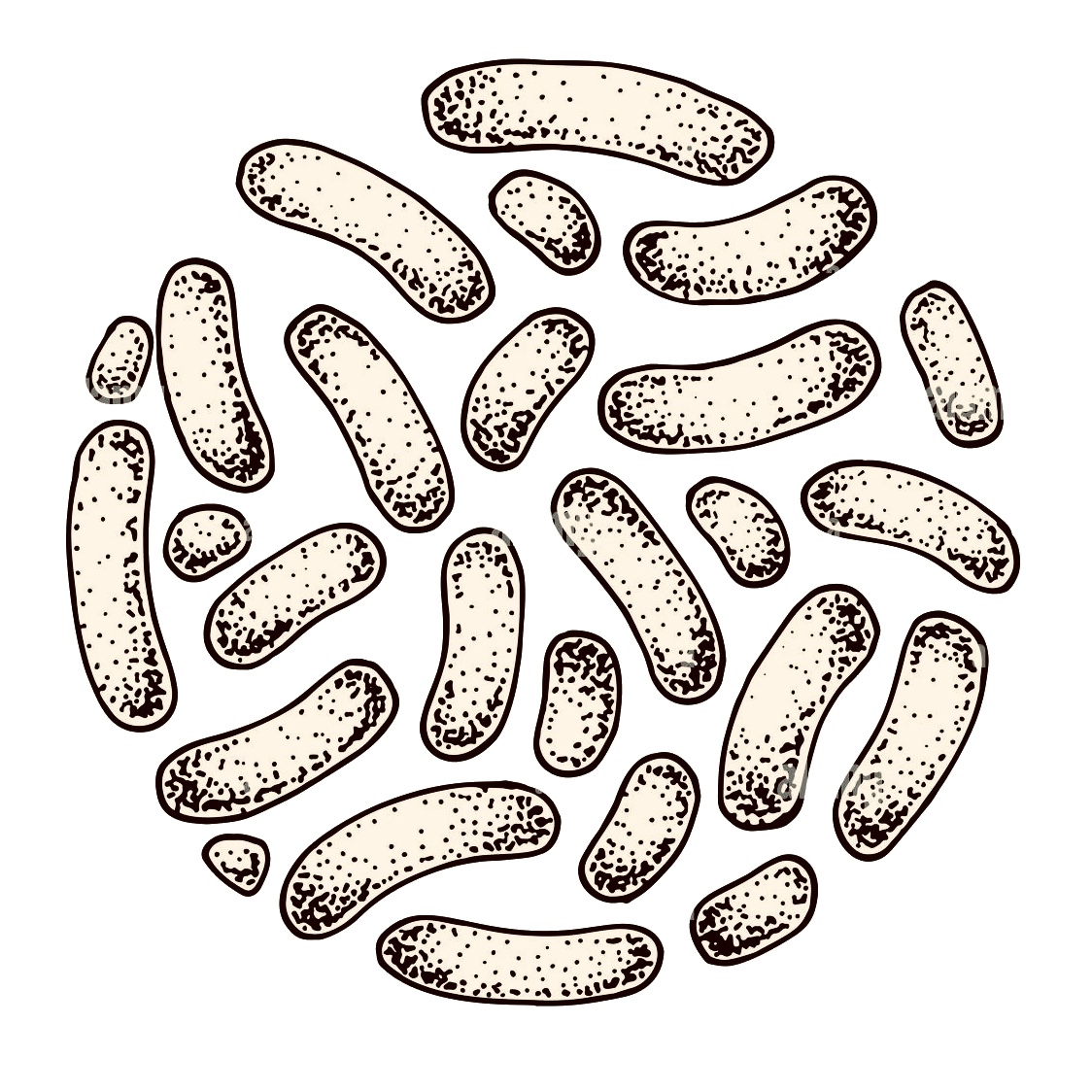 probiotics-for-rhinitis-by-anastasis-tzanis
